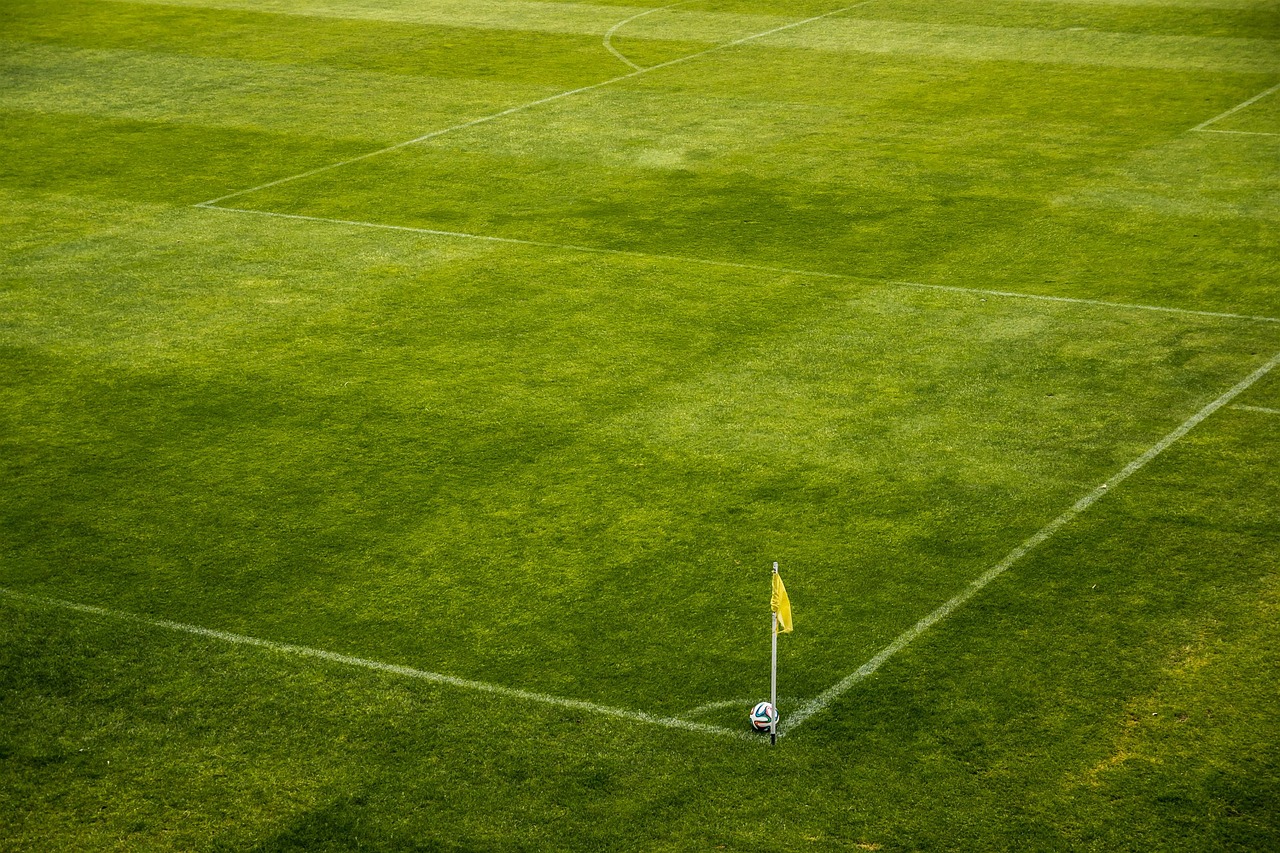 Reasons to Focus on Your Sports Betting Strategy Reasons to Focus on Your Sports Betting Strategy