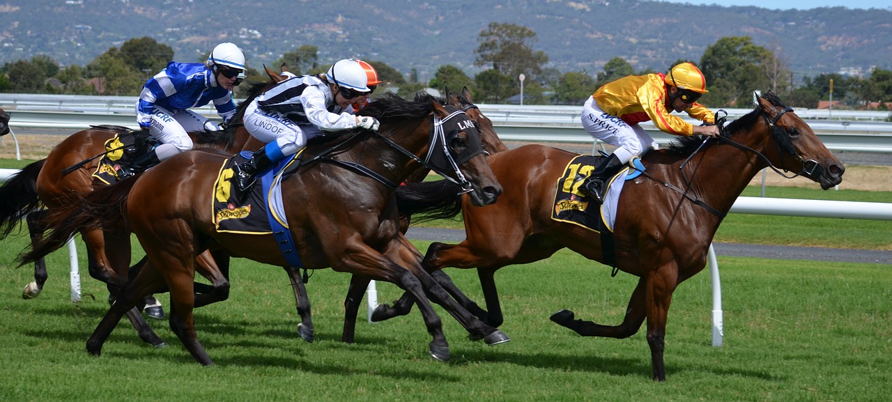 Online Sports Betting: Grow Your Income With Convenience And Excitement! Online Sports Betting: Grow Your Income With Convenience And Excitement!