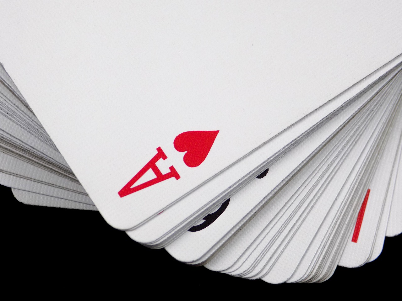 Gambling is a good beginner’s sport Gambling is a good beginner’s sport