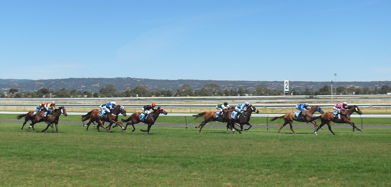The Commonest Sports a Beginner can Bet On The Commonest Sports a Beginner can Bet On